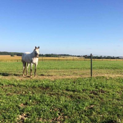 Idestrup B&B-billederamme 8